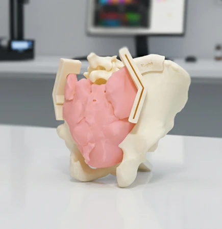 oncology and reconstructive surgery