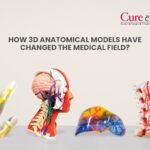 How 3D anatomical models have changed the medical field?
