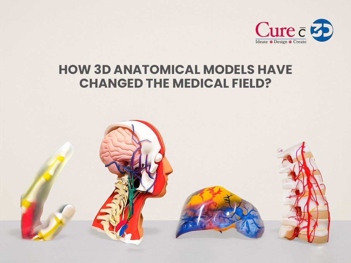 You are currently viewing How 3D anatomical models have changed the medical field?